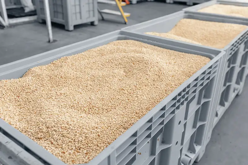 Raw Material & Preparation