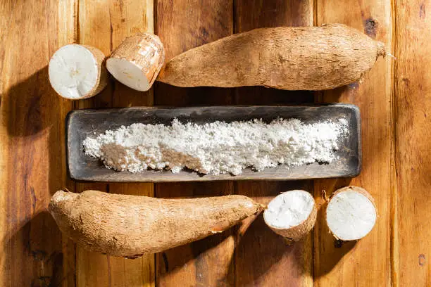 what is tapioca fiber