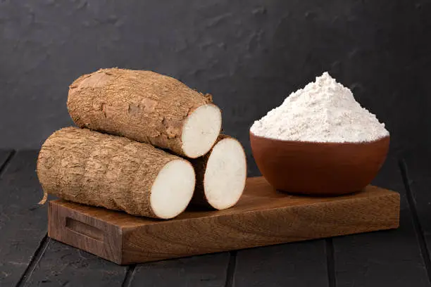 Élément visuel : Solubilité et stabilité de transformation de la fibre de tapioca