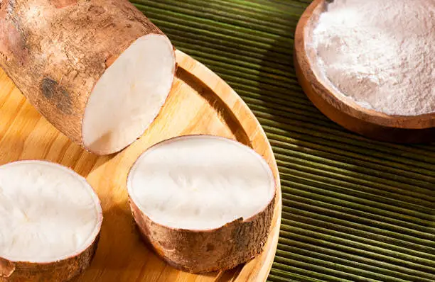Illustration : du manioc à la fibre fonctionnelle